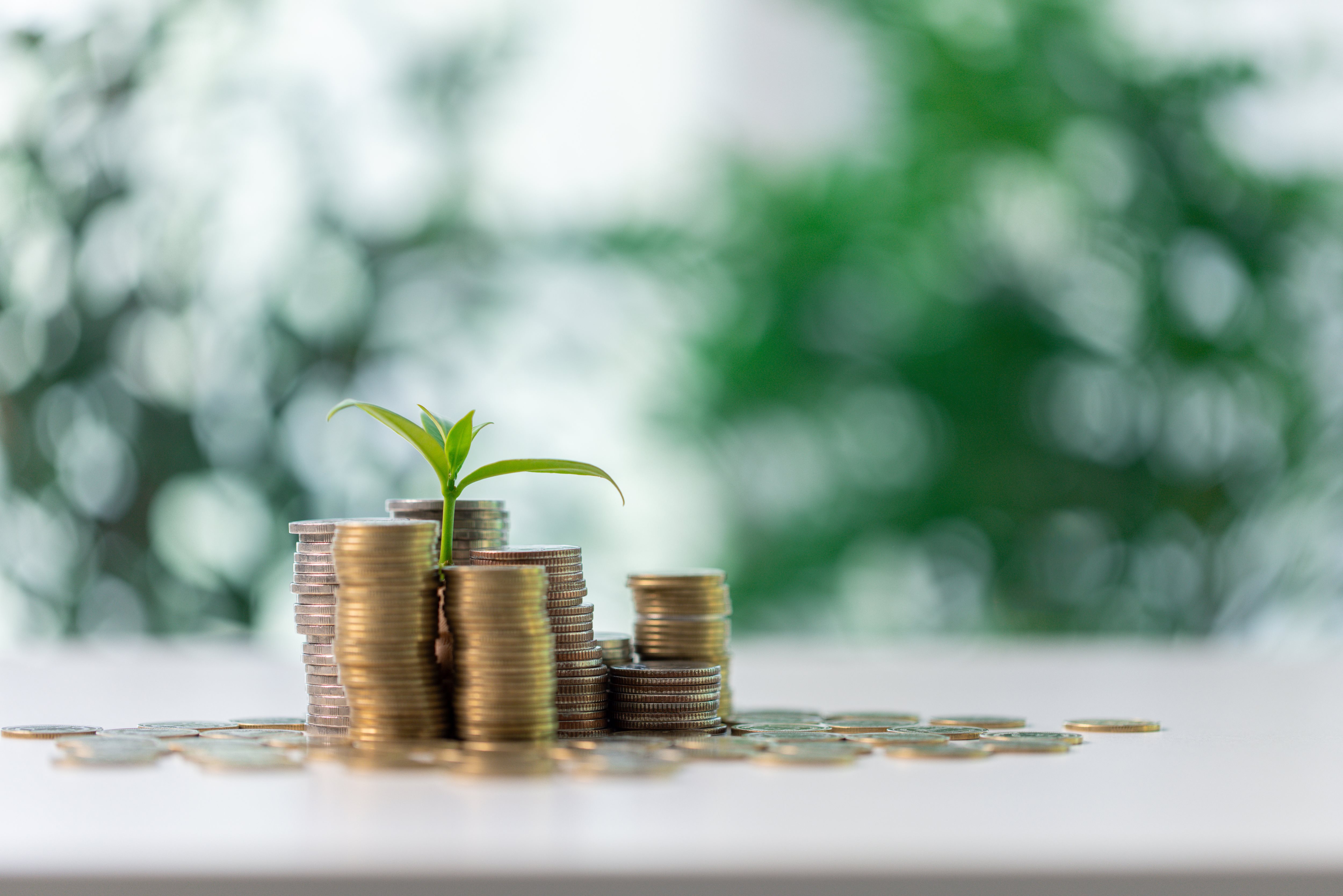 climate adaptation finance