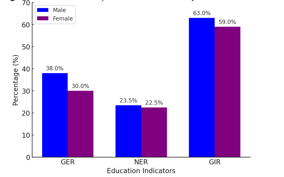 Gender disparities in secondary education pre-USE
