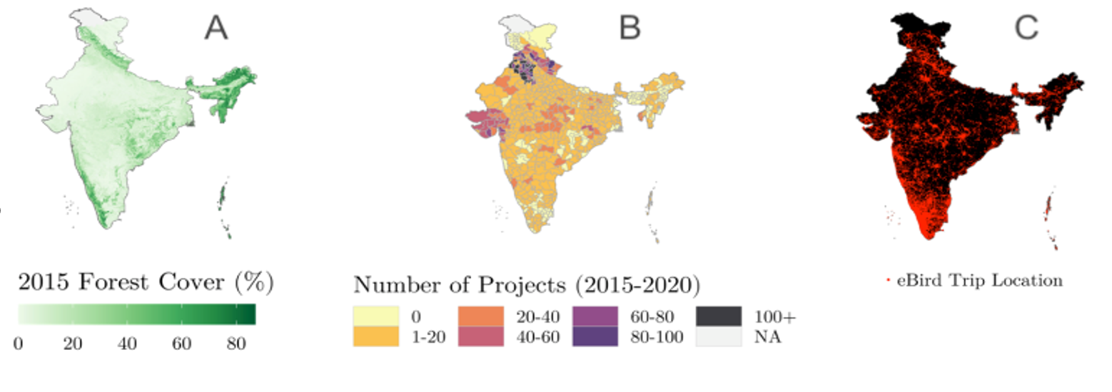 Infrastructure encroachments and eBird activity