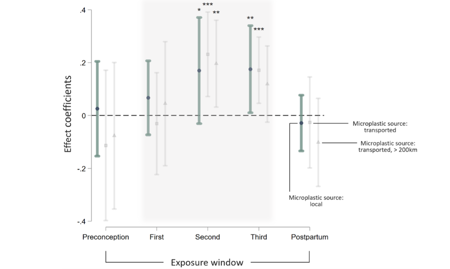 The effect of exposure to marine microplastics during the trimesters of pregnancy