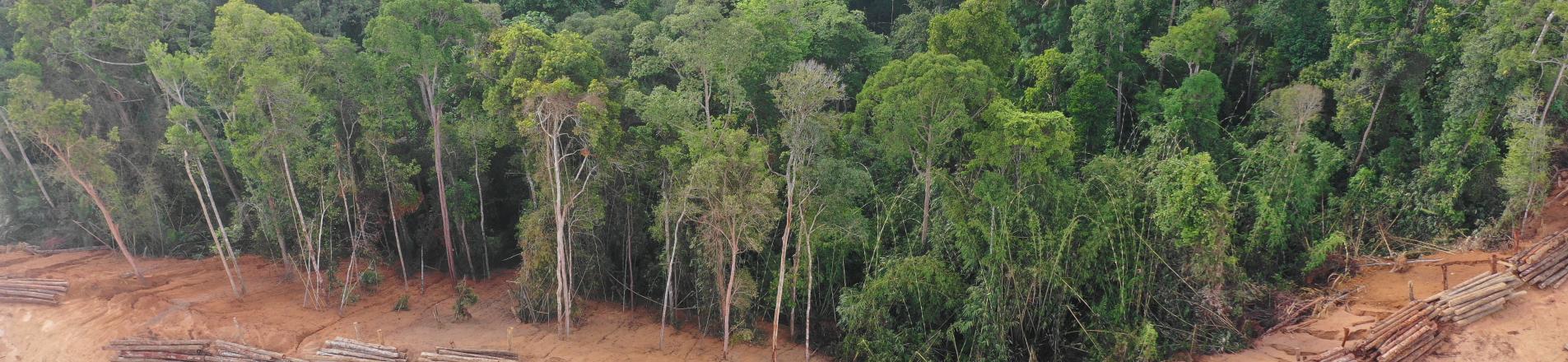 Better state governance reduces local environmental footprints from oil drilling, “better” corporate governance has no impact Image
