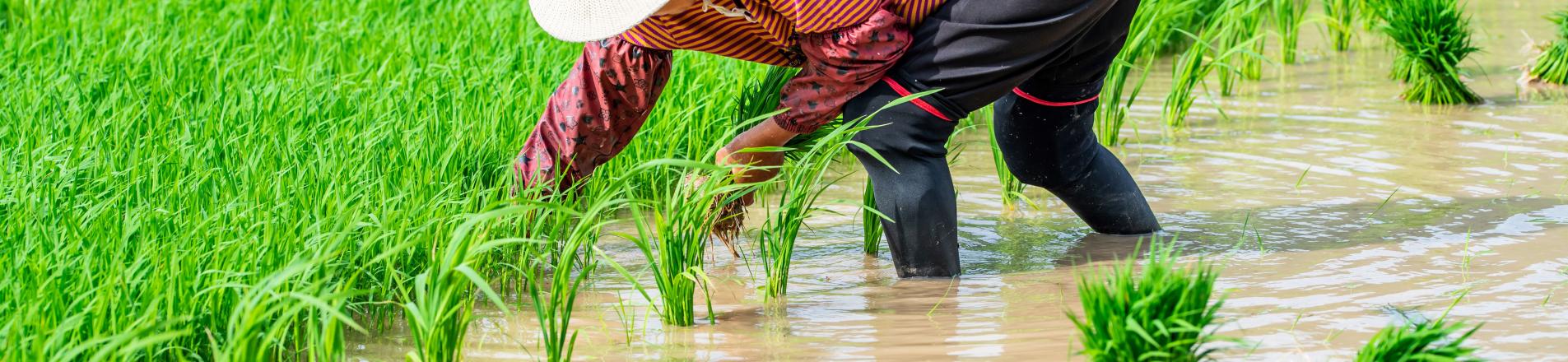 irrigation climate china