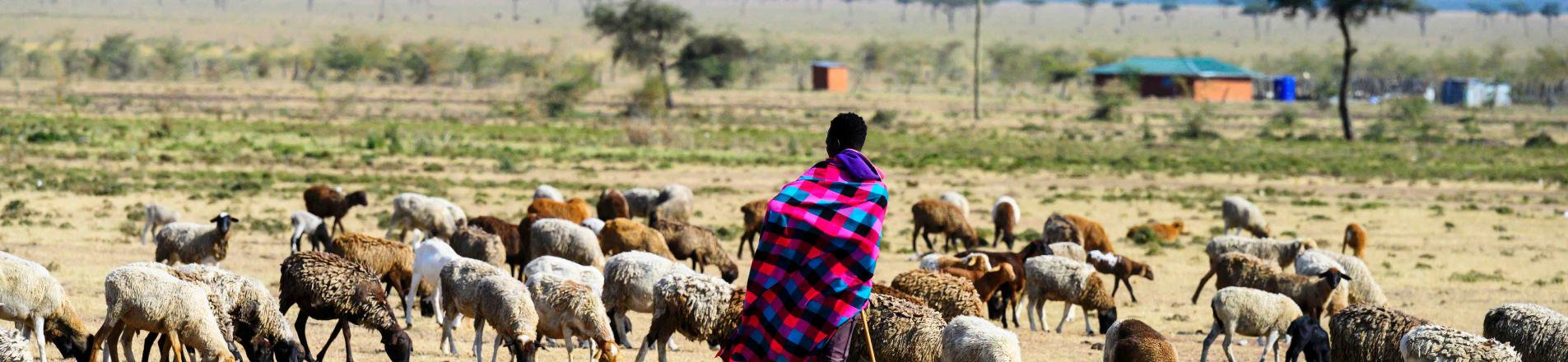 Pastoralism in Kenya