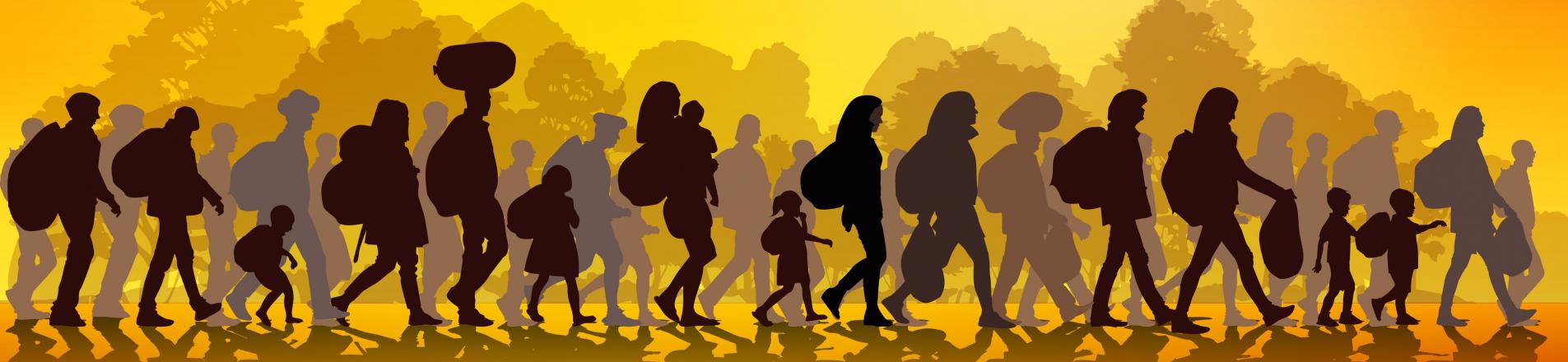 refugees and other forcibly displaced populations