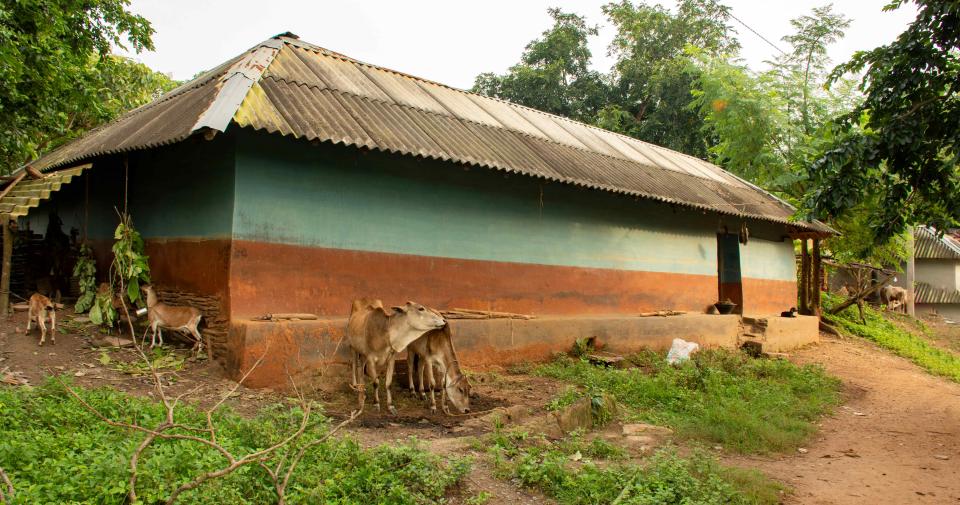 Tribal village building