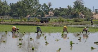 Indian workers