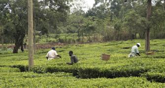 Agricultural Technology in Africa