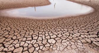 Climate Adaptation