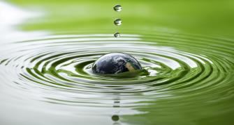 global ripple
