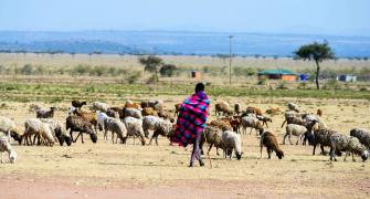 Pastoralism in Kenya