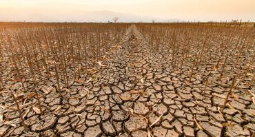 Dry farm land after drought