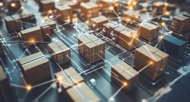 Detailed visualization of a global supply chain