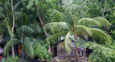 Barisal Bangladesh