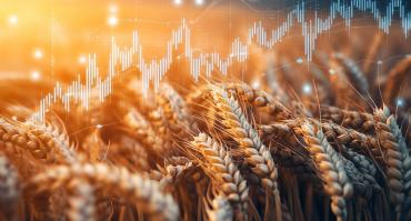 graph showing upward trend with crops in foreground, reflecting this articles focus on global trade and the rise of modern farming practices