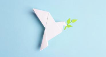 dove representing peace, reflecting this podcast's focus on peacebuilding