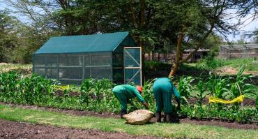 Kenyan farmers