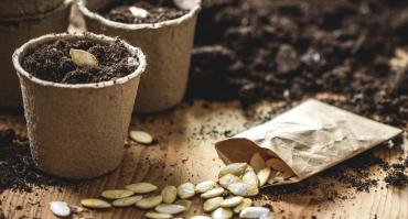 an image of seeds, representing agricultural technology