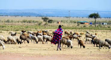 Pastoralism in Kenya