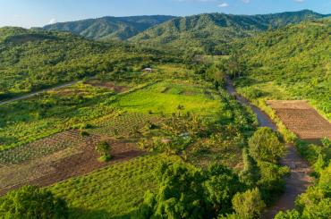 tanzania fields