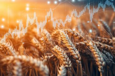 graph showing upward trend with crops in foreground, reflecting this articles focus on global trade and the rise of modern farming practices