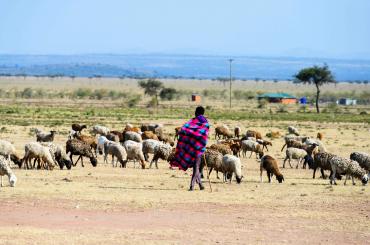 Pastoralism in Kenya